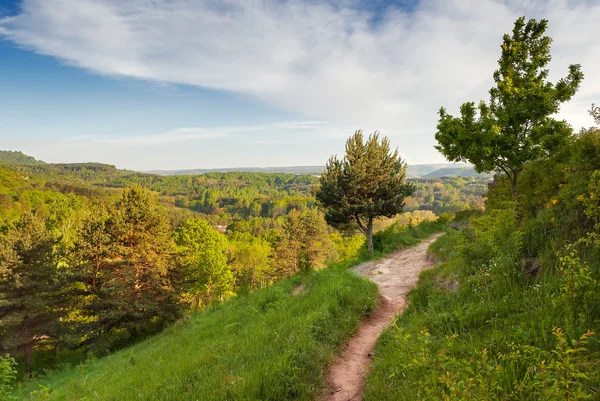 Vista aérea sobre el camino en el parque Kurortny — Foto de Stock