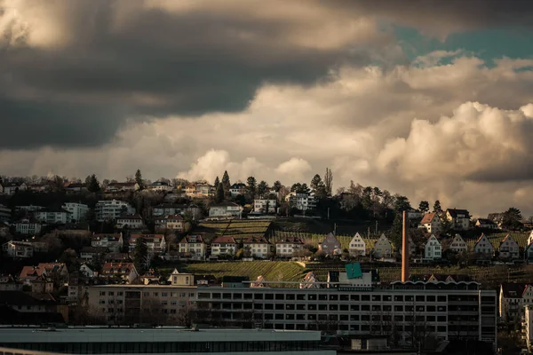 March 2020 Stuttgart Germany Mnchhalde Relenberg District Stuttgart Colorful Wine — Foto Stock