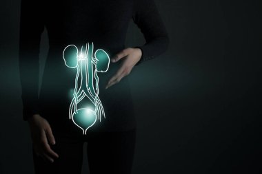 illustration of bladder and kydneys detox with highlighted organ and contrast hands on dark background. Low key photo with copy space toned in dark green colors. Medical concept design template  clipart