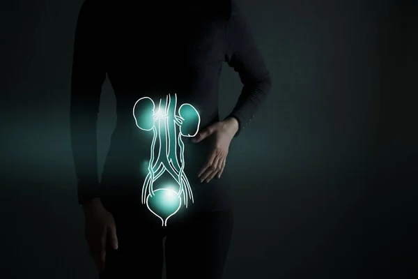 膀胱和后肾排毒的例子 突出的器官和对比的手在黑暗的背景 带有复制空间的低调照片 色调为深绿色 医疗概念设计模板 — 图库照片