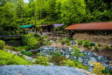 18 Mayıs 2019 Rathen, Saksonya, Almanya - Bastei Köprüsü 'nün karşısındaki Elbe nehri kıyısındaki küçük bir kasaba olan Kurort Rathen' da dar dağ yolları ve konut evleri