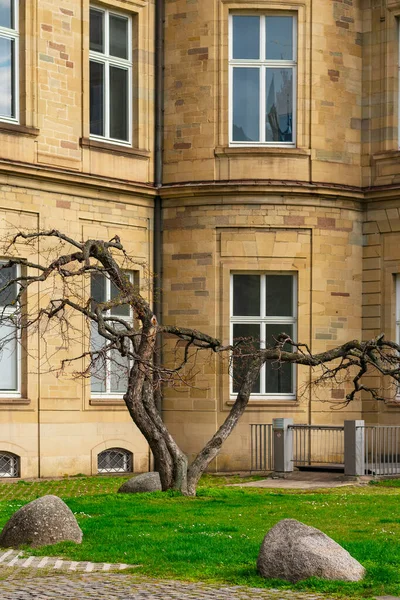 2020年3月7日 德国斯图加特 位于城堡广场 Schlossplatz 的新城堡 Neues Schloss 18世纪巴洛克宫殿和德国南部最后一座大城市宫殿之一 — 图库照片