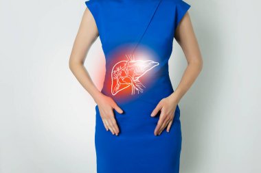 Karaciğer organının grafiksel görselleştirmesini temsil eden tanınmayan bir kadının fotoğrafı. Detoks ve sindirim sistemi sağlığı kavramı vurgulanıyor. Fotoğraf / doğrusal el yapımı illüstrasyon.