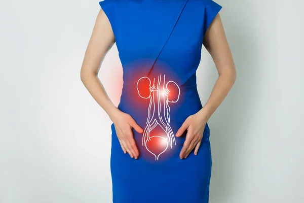 Böbreklerin ve mesane organlarının grafiksel görselleştirilmesini temsil eden tanınmayan bir kadının fotoğrafı. Detoks ve sindirim sistemi sağlığı kavramı vurgulandı. Fotoğraf / doğrusal el yapımı illüstrasyon.