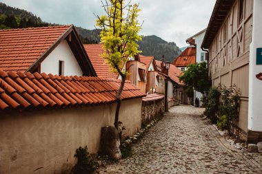 Fuessen, Almanya 26 Mayıs 2019 - Dağlar arasında yeşil yağmurlu vadide kaynamış kiremit çatılı sıcacık alp evleri. Küçük Alman kasabası Fussen.