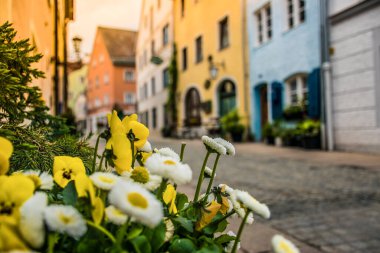 Fuessen, Almanya 26 Mayıs 2019 - Dağlar arasında yeşil yağmurlu vadide kaynamış kiremit çatılı sıcacık alp evleri. Küçük Alman kasabası Fussen.