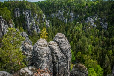 Bastei, Almanya 'nın Elbe Kum Taşı Dağları, Dreden ve Saksonya' da Elbe Nehri üzerinde yükselen bir kaya oluşumudur.