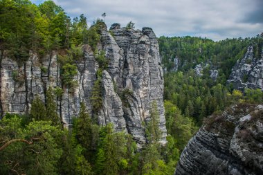 Bastei, Almanya 'nın Elbe Kum Taşı Dağları, Dreden ve Saksonya' da Elbe Nehri üzerinde yükselen bir kaya oluşumudur.