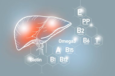Essential nutrients for Liver health including Omega-3, Biotin, Vitamin PP, Vitamin B.Design set of main human organs with molecular grid, micronutrients and vitamins on light gray background. clipart