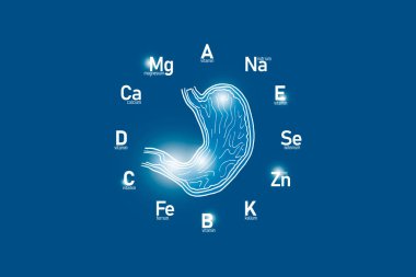 Temel vitaminler ve insan sağlığı için mikroelementlerle biçimlendirilmiş saat yüzü, insan midesi, koyu mavi arka plan. Ana organların ve sağlık konsepti tasarımının detoks edilmesi.