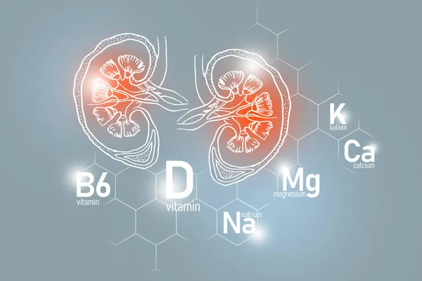 Essentiële Voedingsstoffen Voor Nieren Gezondheid Waaronder Natrium Magnesium Vitamine Calcium — Stockfoto