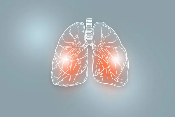 Ilustración Hecha Mano Pulmones Humanos Sobre Fondo Gris Claro Médico — Foto de Stock