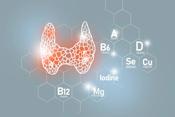 ヨウ素 セレン ビタミンB6 クプリームを含むゴール膀胱の健康のための必須栄養素分子グリッド 微量栄養素 ビタミンを含む主なヒト臓器のデザインセット灰色の背景 — ストック写真