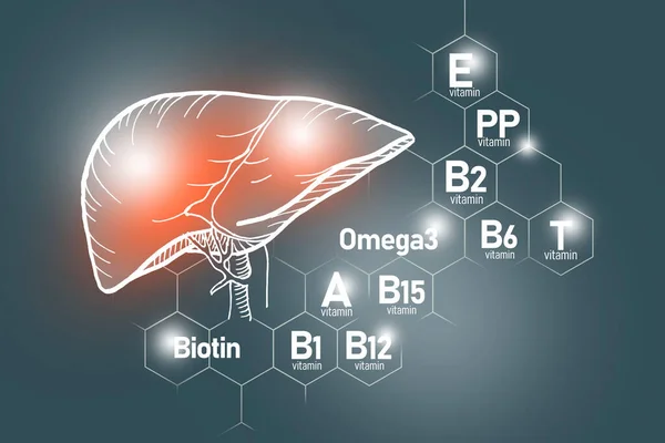 Essentiële Voedingsstoffen Voor Gezondheid Van Lever Waaronder Omega Carnitine Biotine — Stockfoto