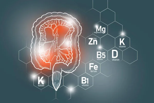 Essentiële Voedingsstoffen Voor Gezondheid Van Darmen Waaronder Kalium Ferrum Magnesium — Stockfoto