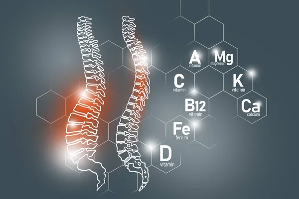 Essential Nutrients Spine Health Including Magnesium Vitamin B12 Calcium Ferrum — 图库照片