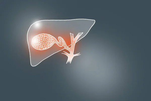 Handrawn Illustration Human Gall Bladder Dark Grey Background Medical Science — 图库照片