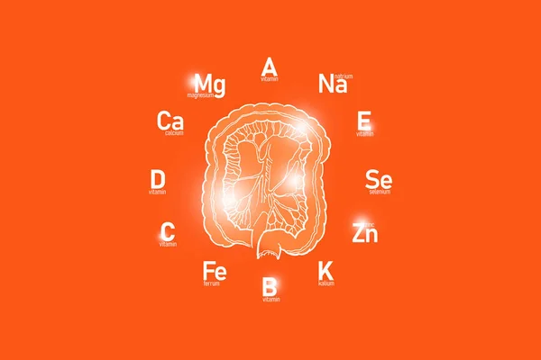 Stylizowany Clockface Niezbędnych Witamin Mikroelementów Dla Zdrowia Ludzkiego Ręcznie Rysowane — Zdjęcie stockowe