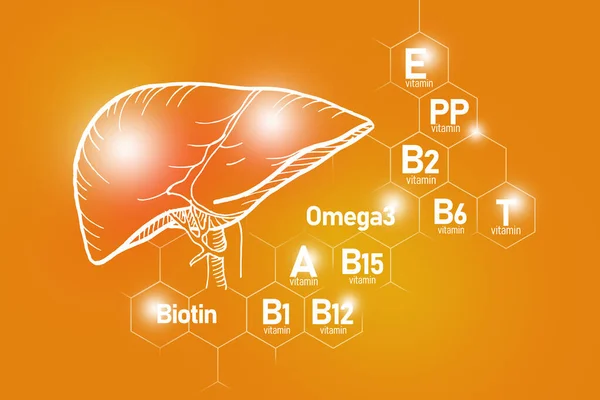 Essential Nutrients Liver Health Including Omega Biotin Vitamin Vitamin Design — Stockfoto