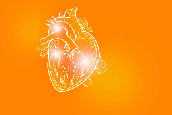 Handrawn Illustration Human Heart Positive Orange Background Medical Science Set — Stock Photo, Image