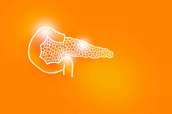 Handrawn Illustration Human Pancreas Positive Orange Background Medical Science Set — Stock Photo, Image