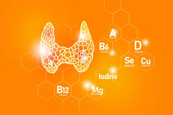 ヨウ素 セレン ビタミンB6 クプラムを含む甲状腺の健康のための必須栄養素分子グリッド 微量栄養素 ビタミンが正のオレンジの背景にある主なヒト臓器のデザインセット — ストック写真