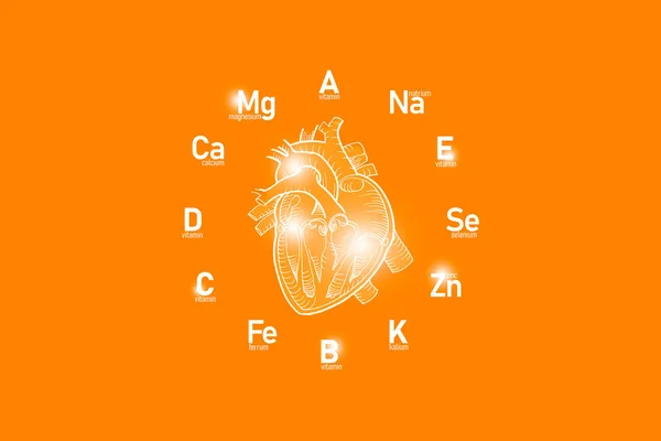 Stylized Clockface Essential Vitamins Microelements Human Health Hand Drawn Human — Stock Photo, Image