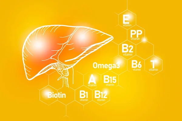 Essentiële Voedingsstoffen Voor Gezondheid Van Lever Waaronder Omega Carnitine Biotine — Stockfoto