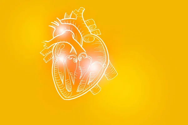 黄色背景下人类心脏的手绘图解 医学上 带有主要人体器官的科学装置 文本或信息的复制空间为空 — 图库照片