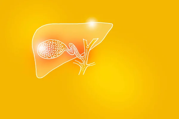 Приклад Людини Gall Bladder Жовтому Тлі Медична Наука Набір Основними — стокове фото