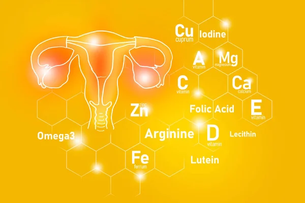 Nutrientes Esenciales Para Salud Útero Incluyendo Omega Arginina Luteína Lecitina —  Fotos de Stock
