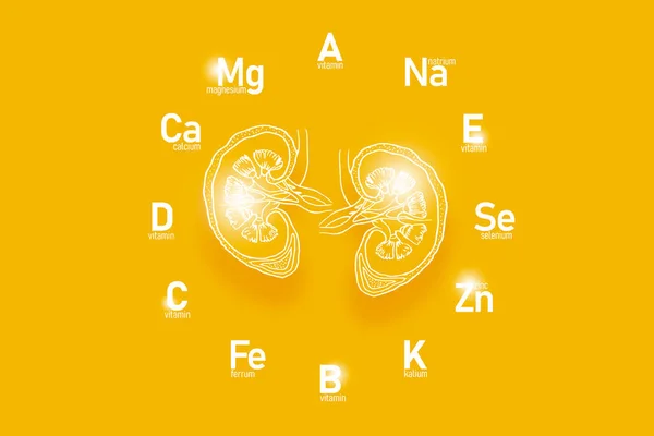 Relógio Estilizado Com Vitaminas Essenciais Microelementos Para Saúde Humana Rins — Fotografia de Stock