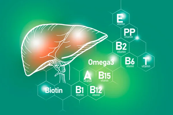 肝脏健康所需的基本营养素 包括欧米茄 生物素 维生素Pp 维生素B 设计一套具有分子结构的主要人体器官 微营养素和浅绿色背景的维生素 — 图库照片