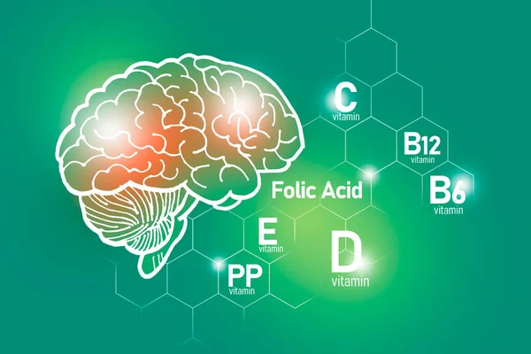 Essentiële Voedingsstoffen Voor Gezondheid Van Hersenen Waaronder Vitamine Vitamine Foliumzuur — Stockfoto