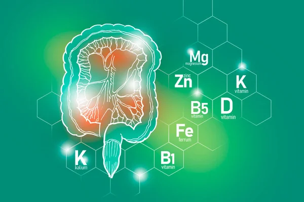 Nutrientes Essenciais Para Saúde Intestinal Incluindo Kalium Ferrum Magnésio Vitamina — Fotografia de Stock