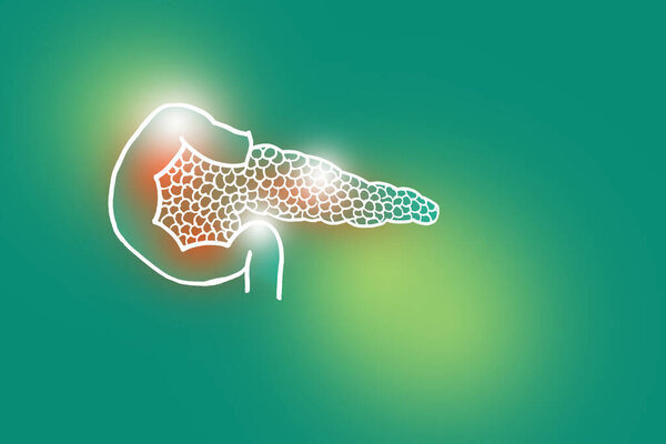 Handrawn illustration of human Pancreas on light green background.Medical, science set with main human organs with empty copy space for text or infographic.