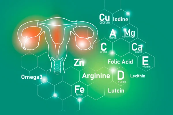 Nutrientes Esenciales Para Salud Útero Incluyendo Omega Arginina Luteína Lecitina —  Fotos de Stock