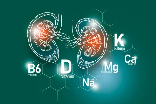 肾健康所需的基本营养物质 包括纳豆 维生素B6 设计一套具有分子网格 微营养物质和深绿色背景维生素的主要人体器官 — 图库照片