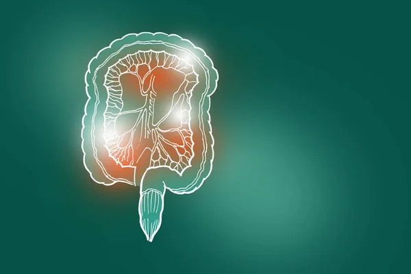 Handrawn illustration of human Intestine on deep green background.Medical, science set with main human organs with empty copy space for text or infographic.