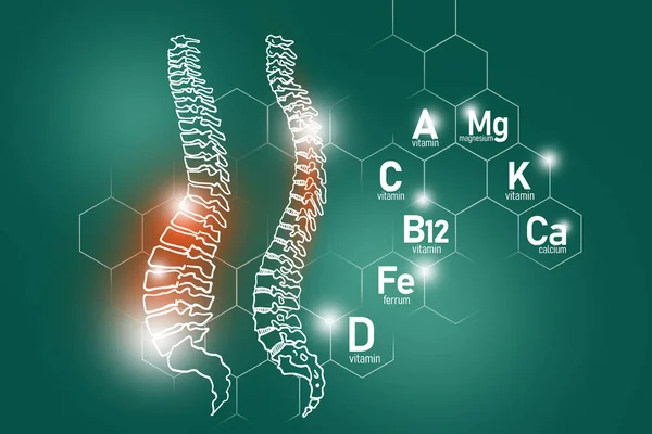 Nutrientes Esenciales Para Salud Columna Vertebral Incluyendo Magnesio Vitamina B12 —  Fotos de Stock