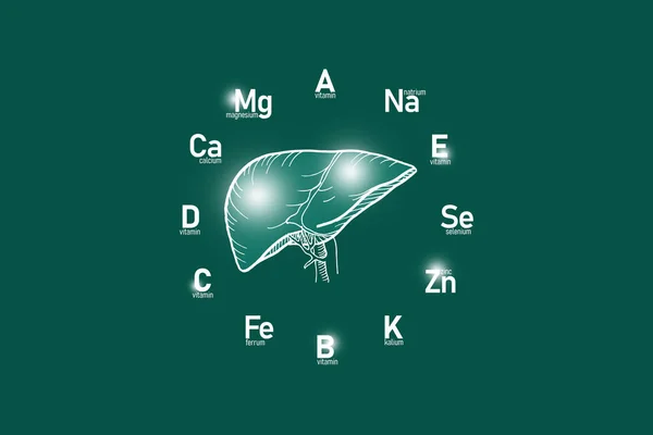 人間の健康のための不可欠なビタミンや微量元素を持つ様式化された時計型の顔 手は人間の肝臓 深い緑の背景を描きました 主な臓器や医療のコンセプトデザインのモックアップのデトックス — ストック写真