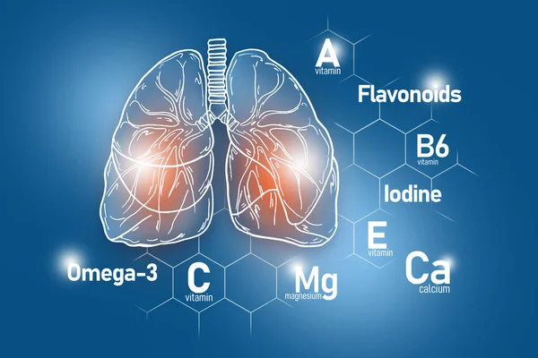 Nutrientes Esenciales Para Salud Los Pulmones Incluyendo Omega Flavonoides Magnesio — Foto de Stock