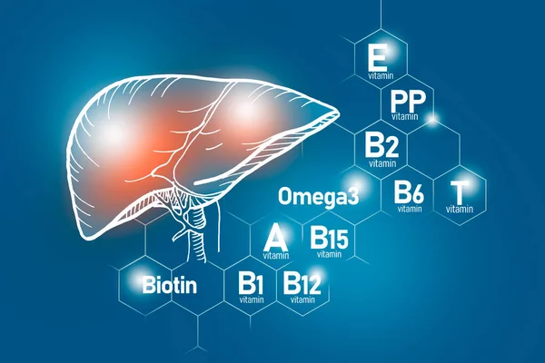 Essentiële Voedingsstoffen Voor Gezondheid Van Lever Waaronder Omega Carnitine Biotine — Stockfoto