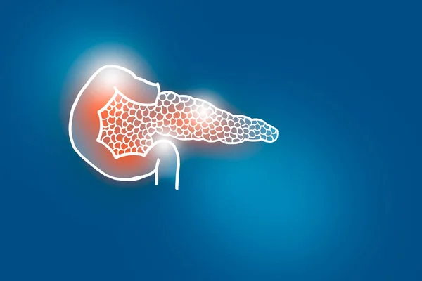 Handrawn Illustration Human Pancreas Dark Blue Background Medical Science Set — Stock Photo, Image