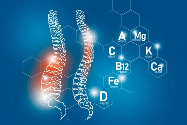 包括镁 维生素B12 铁在内的对脊柱健康至关重要的营养素 设计一套带有分子网格 微营养素和深蓝色背景维生素的主要人体器官 — 图库照片