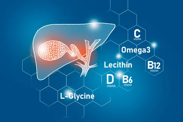 Gall膀胱健康必需营养素 包括Omega Glycine Omega3 Lecithin 设计一套带有分子网格 微营养素和深蓝色背景维生素的主要人体器官 — 图库照片