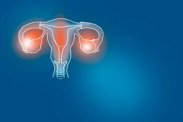 Handrawn illustration of human Uterus on dark blue background.Medical, science set with main human organs with empty copy space for text or infographic.