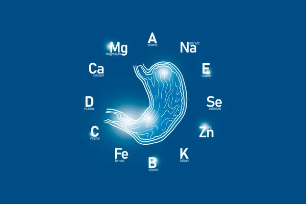 Stylized Clockface Essential Vitamins Microelements Human Health Hand Drawn Human — Stock Photo, Image