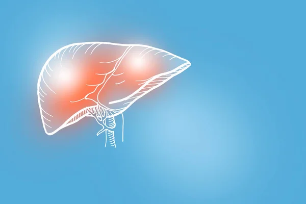 Ilustração Handrawn Fígado Humano Fundo Azul Claro Médico Jogo Ciência — Fotografia de Stock