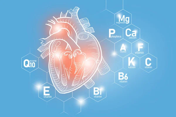 Viktiga Näringsämnen För Hjärtats Hälsa Inklusive Q10 Kalcium Magnesium Vitamin — Stockfoto